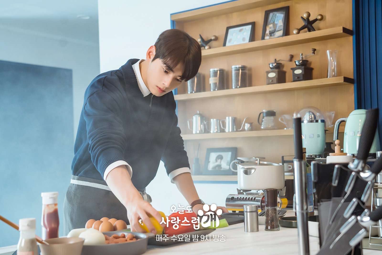 A Good Day to Be a Dog