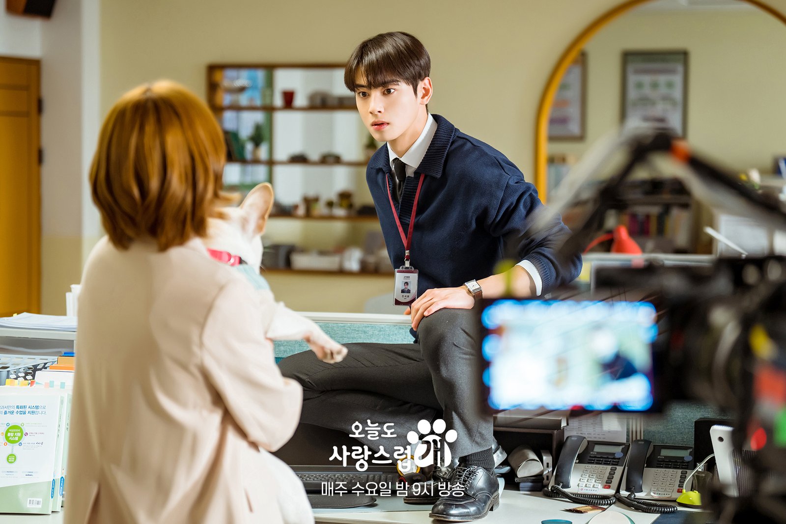 A Good Day to Be a Dog