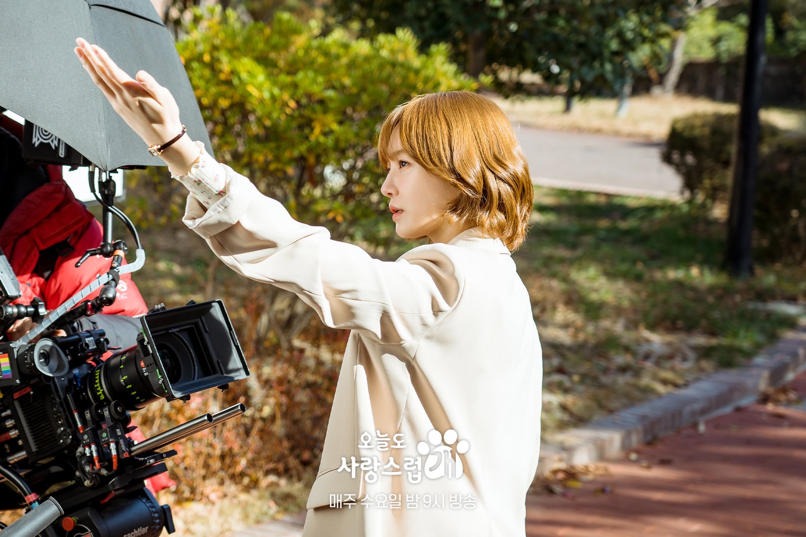 A Good Day to Be a Dog