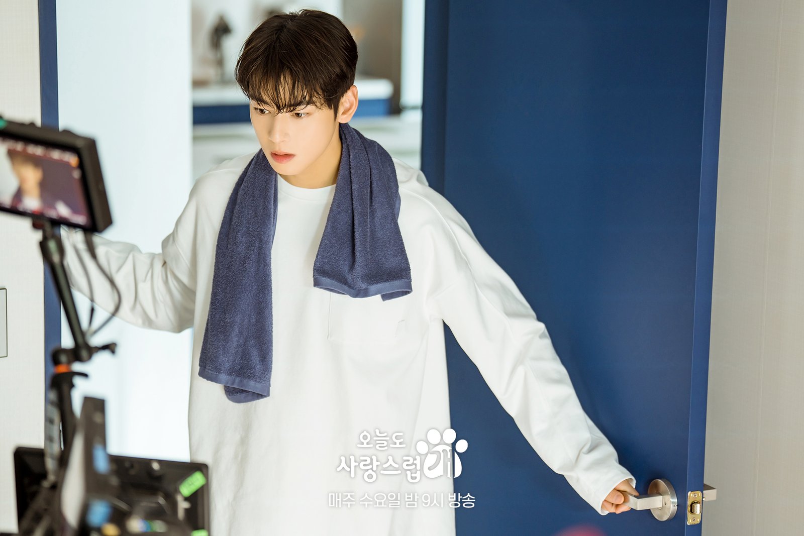 A Good Day to Be a Dog