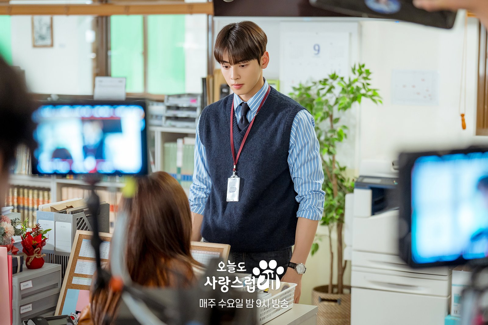 A Good Day to Be a Dog