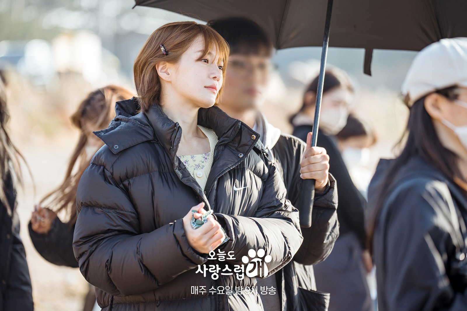 A Good Day to Be a Dog