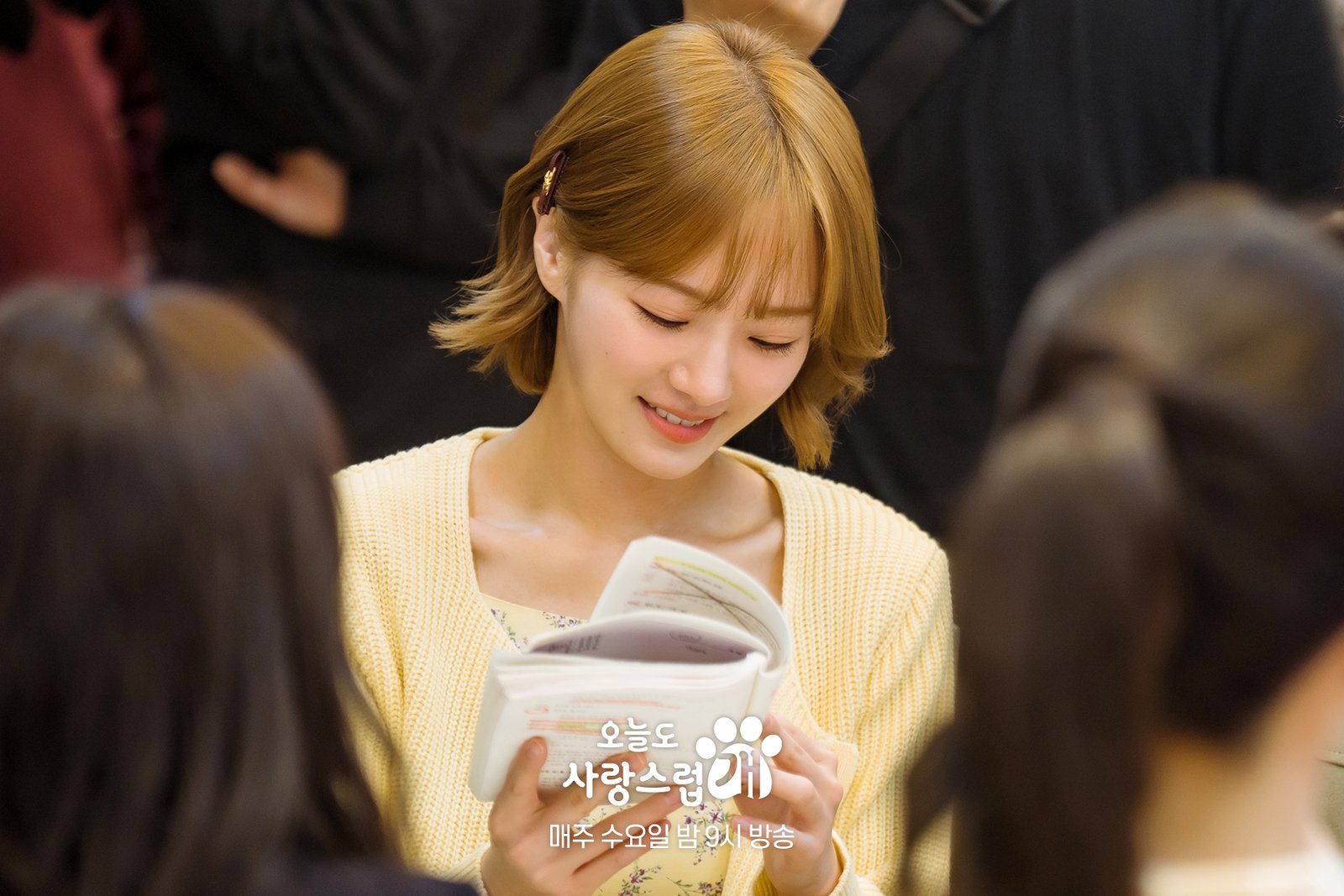 A Good Day to Be a Dog