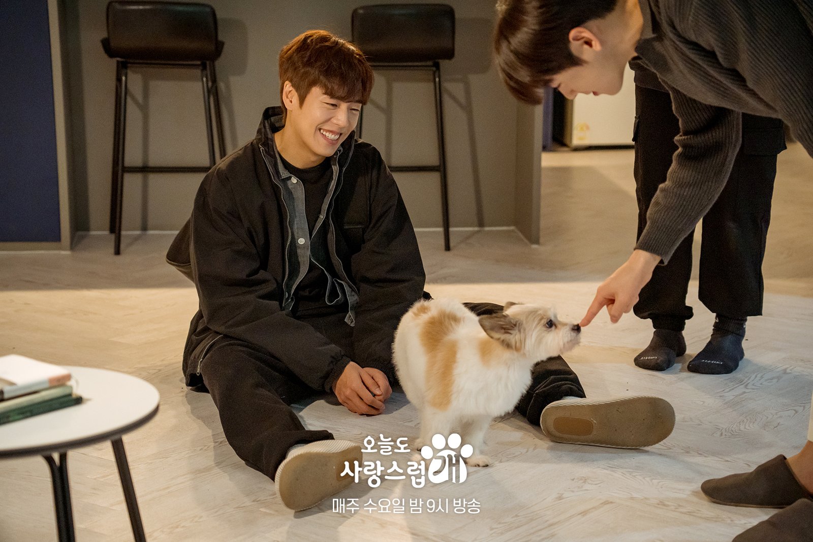 A Good Day to Be a Dog