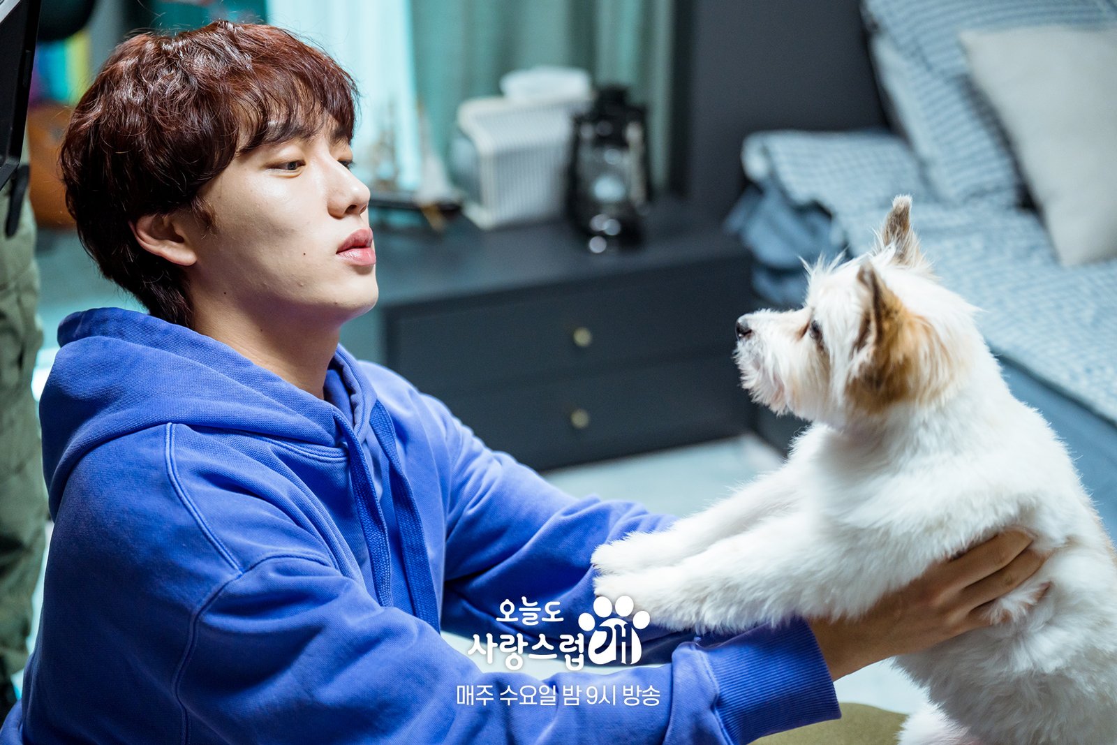 A Good Day to Be a Dog