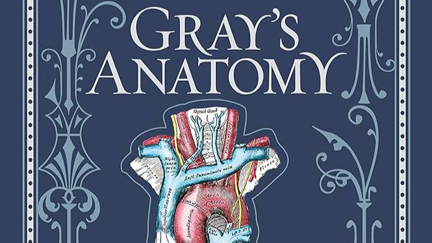 Greys Anatomy