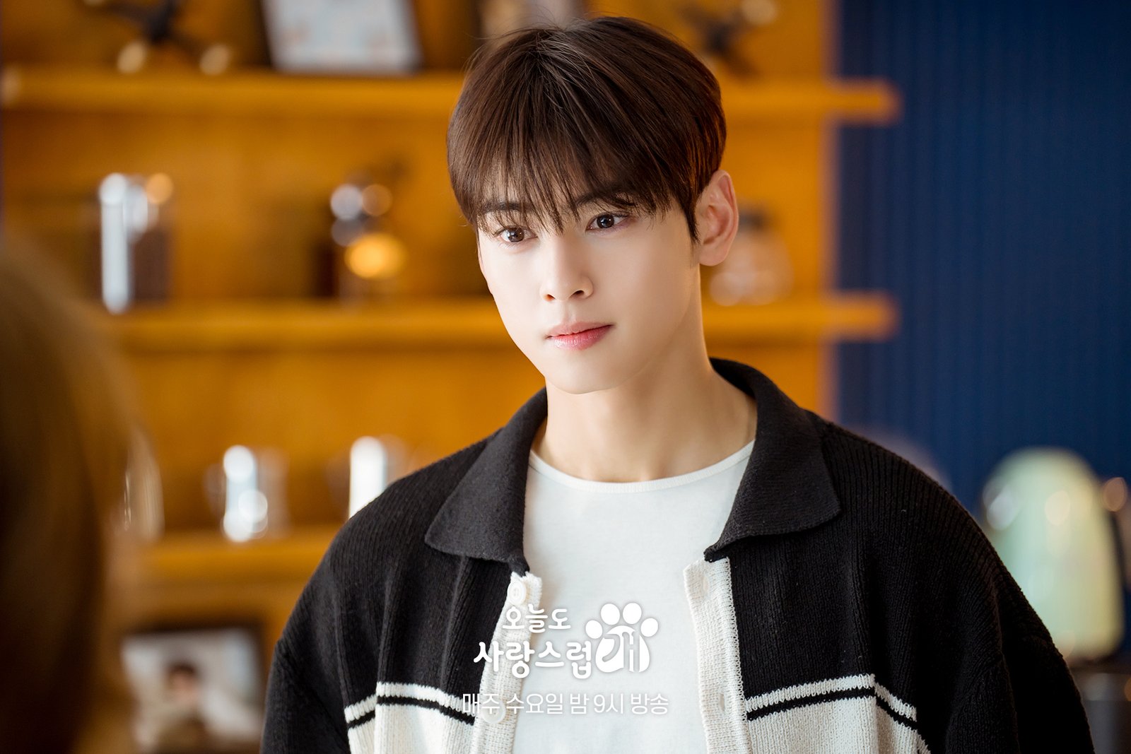 "A Good Day to Be a Dog