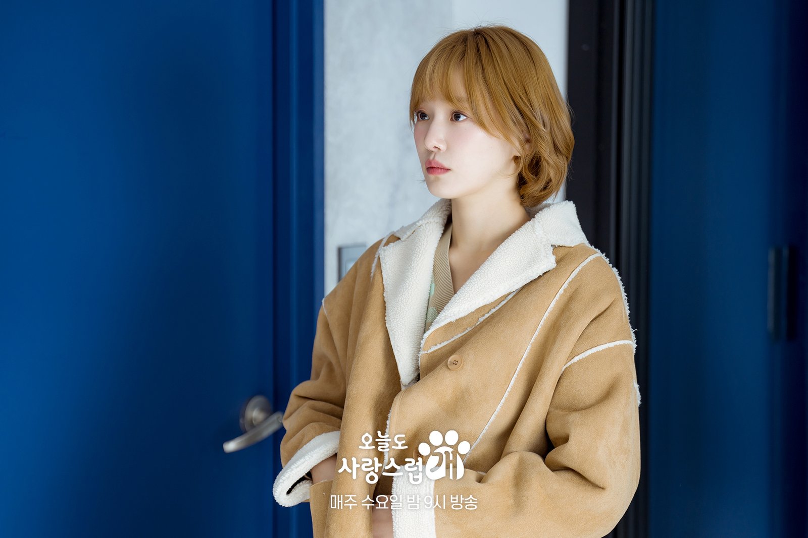 "A Good Day to Be a Dog