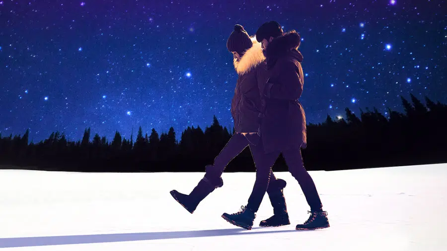 Meu Amor das Estrelas