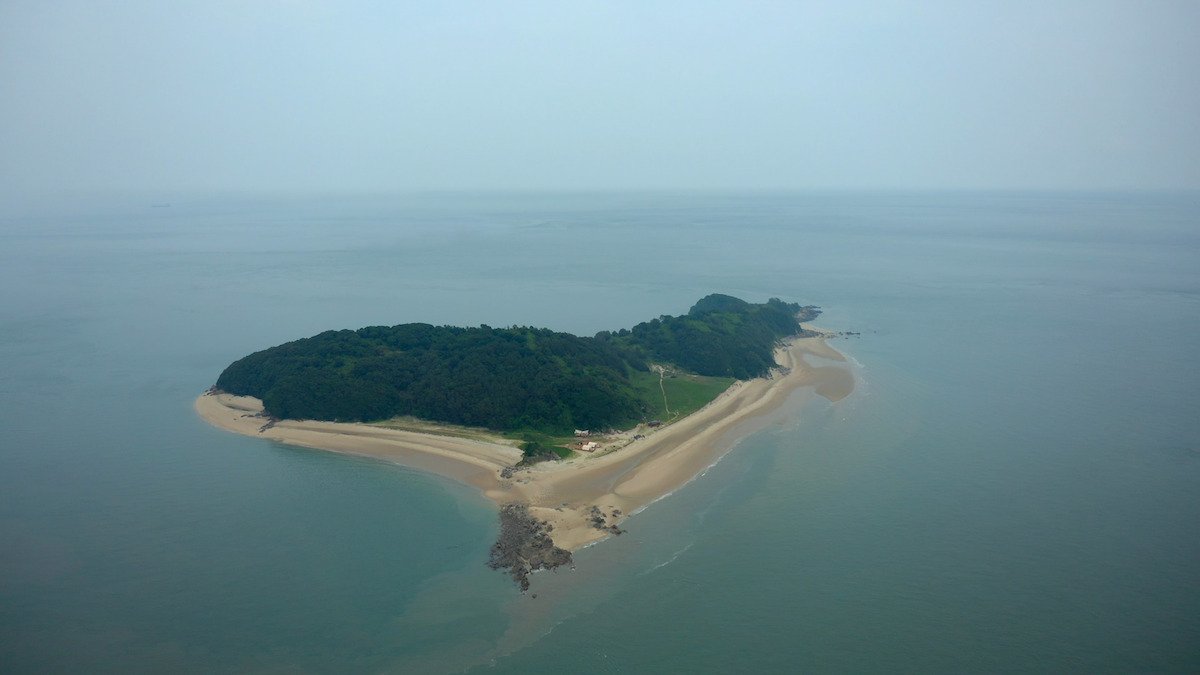 Solteiros Ilhados e Desesperados