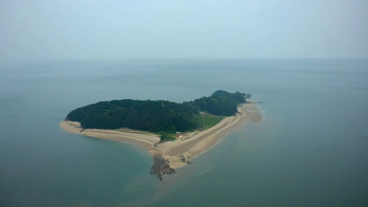 Solteiros Ilhados e Desesperados