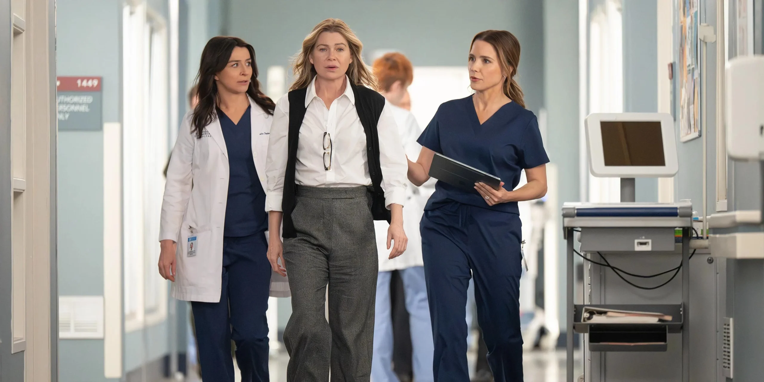 Grey's Anatomy continua entre as melhores s&eacute;ries m&eacute;dicas